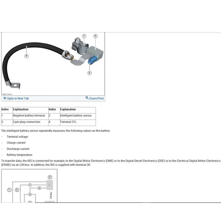 Vivid Workshop Data Online Haynes Pro car repair 1 Year