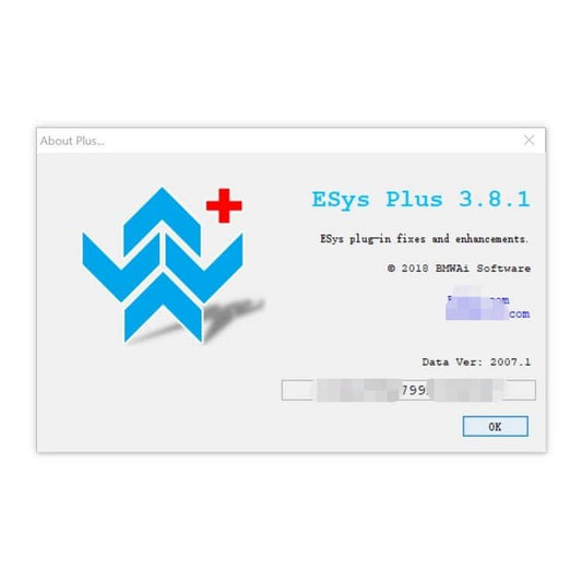 BMW E-sys Plus 3.8 full